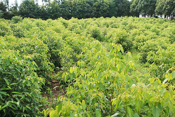 1569812376222992.png 图片3.png